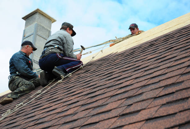 Best Roof Gutter Cleaning  in Saddle River, NJ